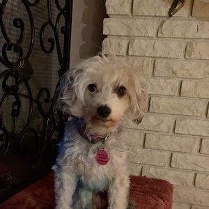 Meet your Posher, Shawna